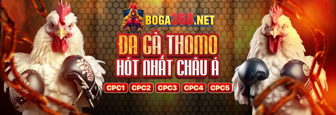 Đá Gà Trực Tuyến 5win